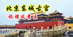 各种毛片操快色视频中国北京-东城古宫旅游风景区